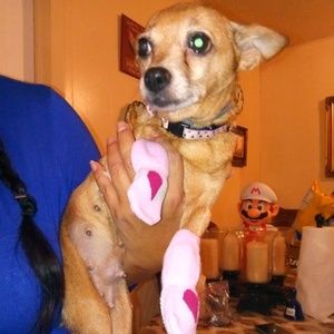 Meet your Posher, Norma